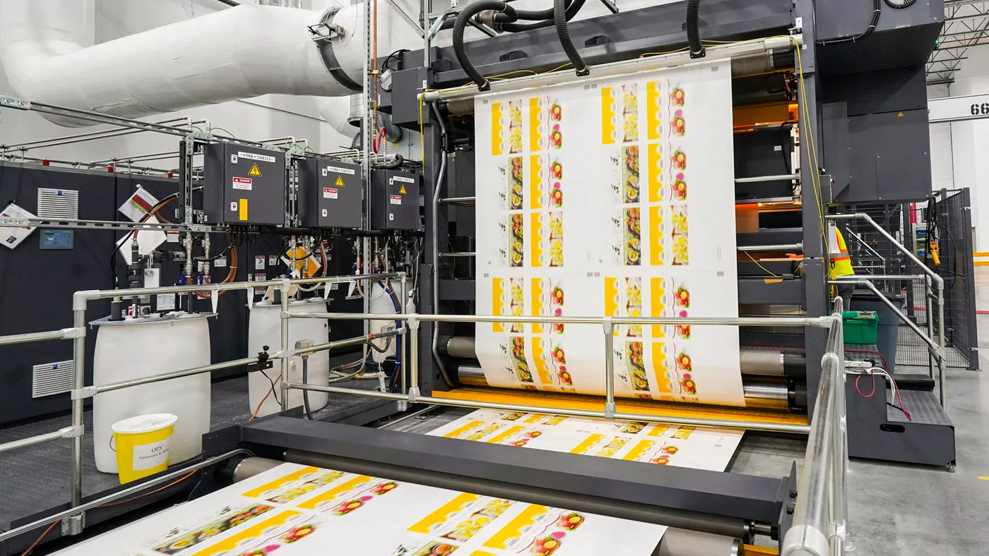 Printing & Packaging
